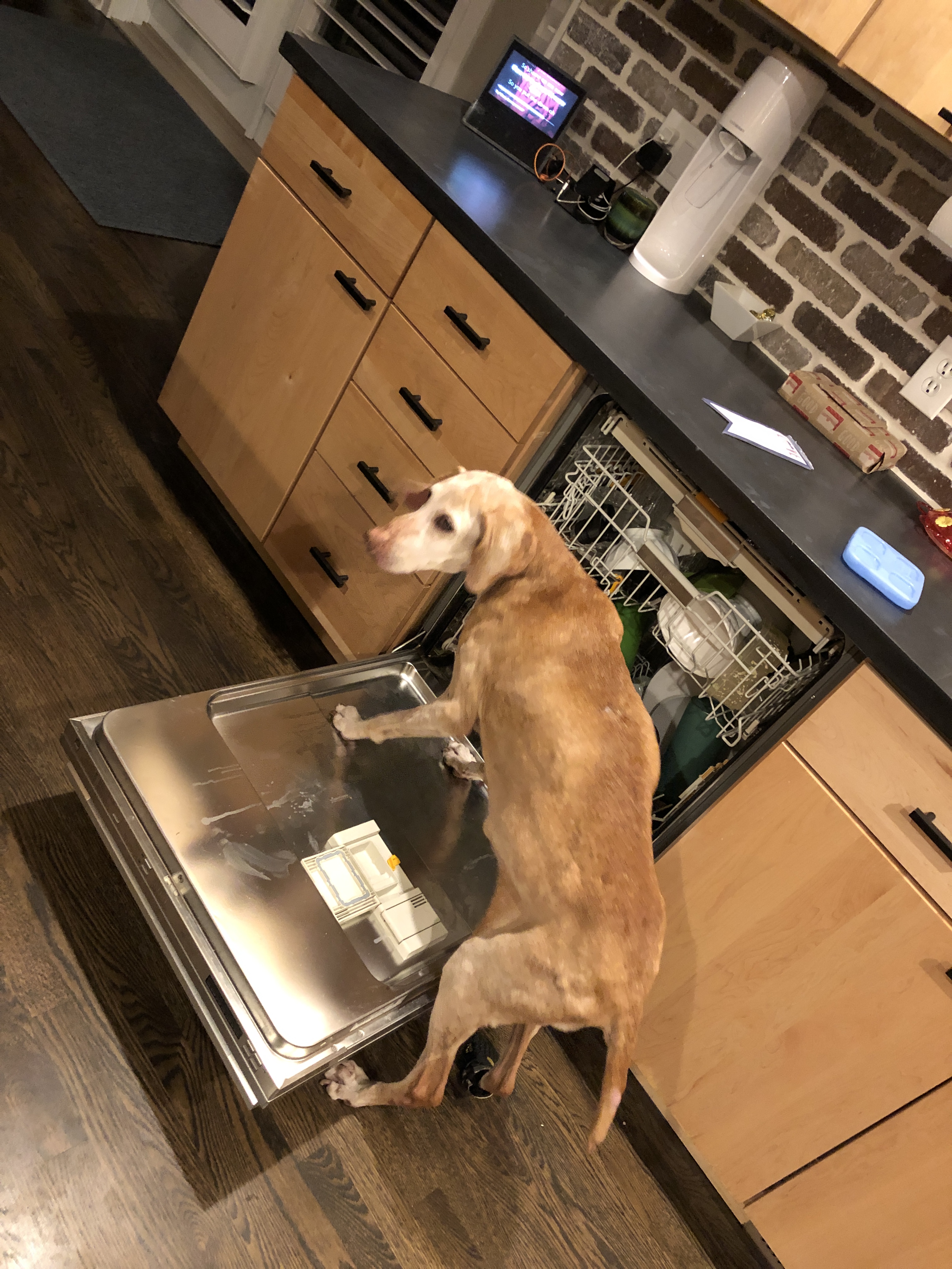 57016245946__3CCB08AB-DC7E-40D9-8281-C04EBDFFA198